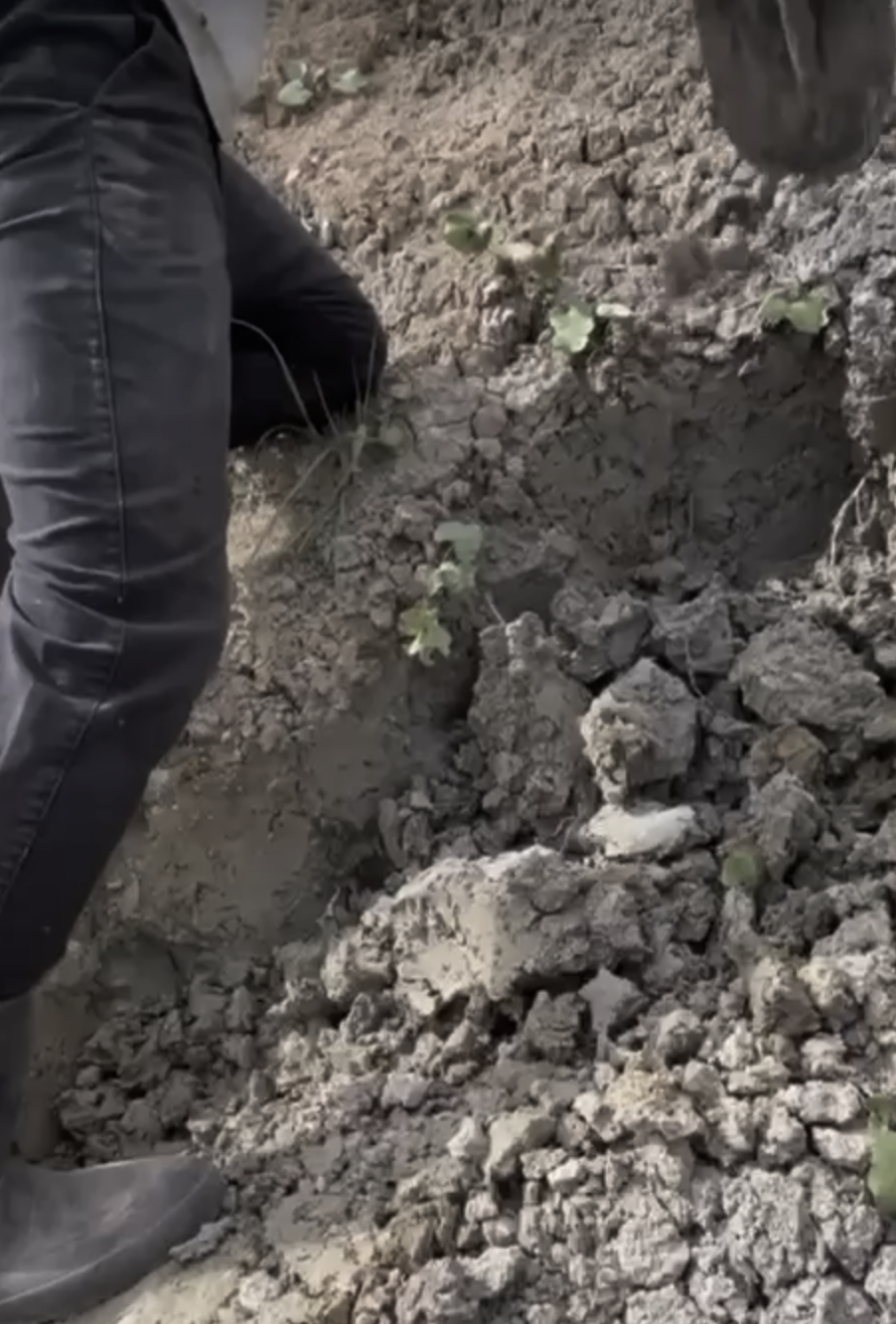 Boots in the earth — the body of work